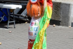 Nouvel an chinois et fête des Lanternes