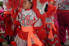 Nouvel an chinois et fête des Lanternes