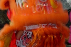 Nouvel an chinois et fête des Lanternes