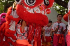 Nouvel an chinois et fête des Lanternes