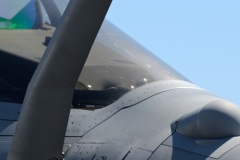 Demonstration avion militaire RAFALE