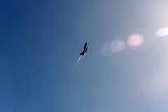 Demonstration avion militaire RAFALE