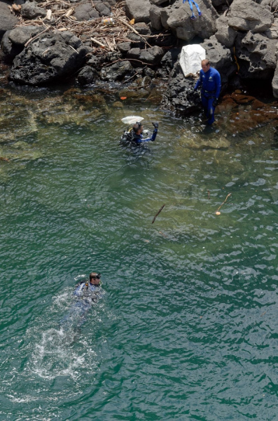 Recuperation d'armes en embouchure de riviere par la gendarmerie