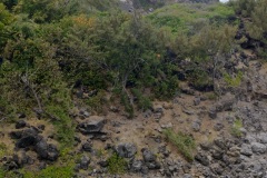 Recuperation d'armes en embouchure de riviere par la gendarmerie