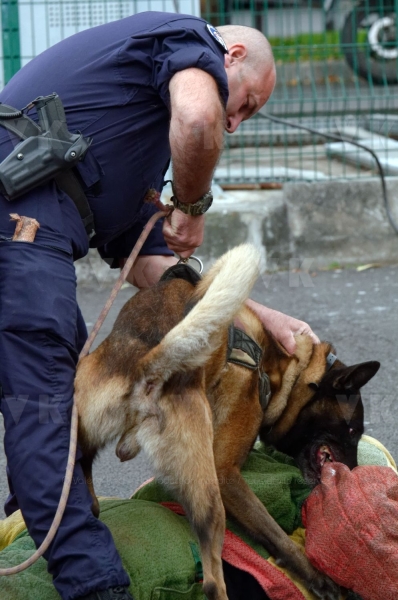 Rencontres de la securite a Duparc