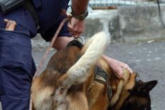 Rencontres de la securite a Duparc