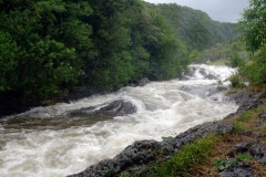 Tempete tropicale moderee Carlos