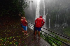 Tempete tropicale moderee Carlos