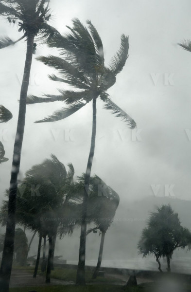 Tempête Tropicale modérée Haliba