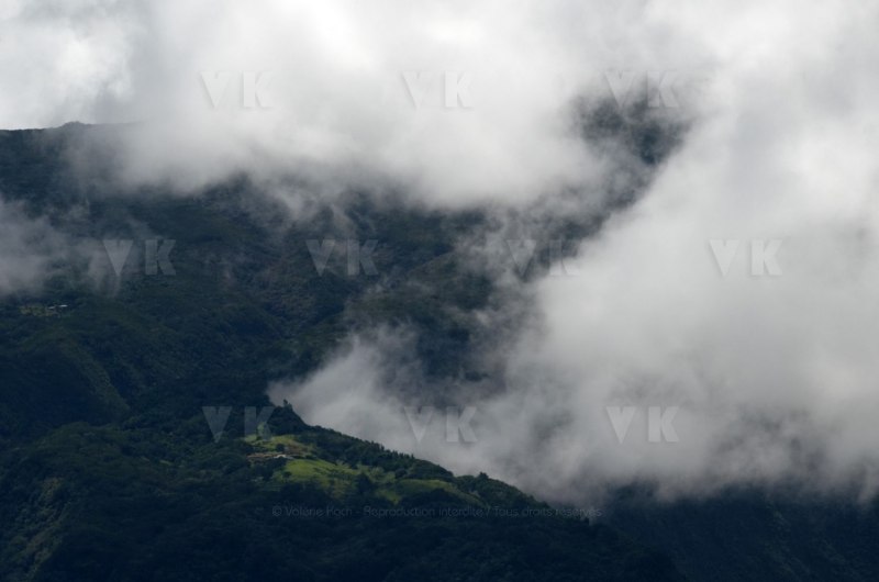 Tempête Tropicale modérée Haliba