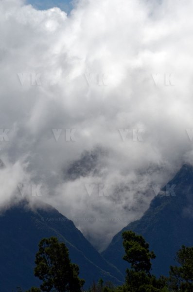 Tempête Tropicale modérée Haliba