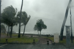 Tempête Tropicale modérée Haliba