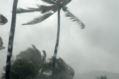 Tempête Tropicale modérée Haliba