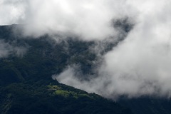 Tempête Tropicale modérée Haliba