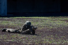 Commandos du 2e RPIMa