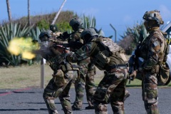 Commandos du 2e RPIMa