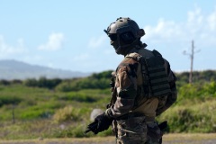 Commandos du 2e RPIMa