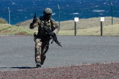 Commandos du 2e RPIMa