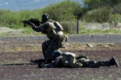 Commandos du 2e RPIMa