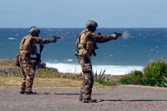 Commandos du 2e RPIMa
