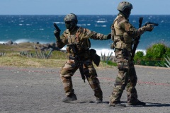 Commandos du 2e RPIMa