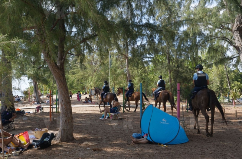 Vacances a La Reunion. Holidays in Reunion