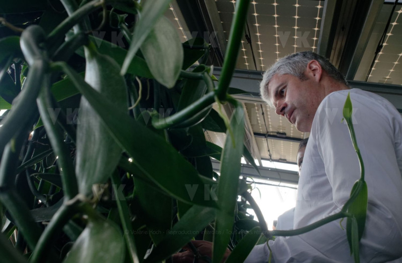 Laurent Wauquiez en deplacement a La Reunion