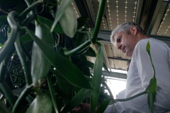 Laurent Wauquiez en deplacement a La Reunion