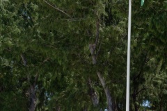 Pour terminer sa visite de 5 jours a La Reunion, la ministre de l'Outre-Mer Annick Girardin, a rencontre les familles des victimes d'attaque de requins et suivi une presentation et demonstration du dispositif vigie requin renforce sur la plage de l'Hermitage a Saint-Gilles-les-Bains.