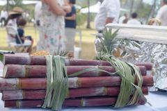 President Macron at Reunion-President Macron a La Reunion