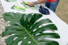 President Macron at Reunion-President Macron a La Reunion