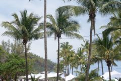 President Macron at Reunion-President Macron a La Reunion