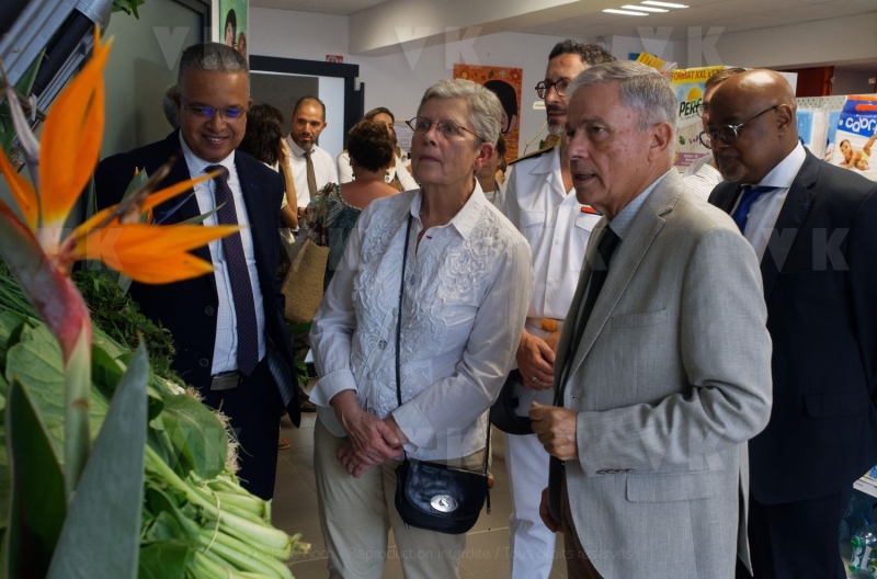 Deplacement Genevieve DARRIEUSSECQ a la Reunion
