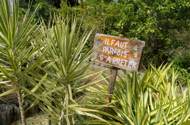 Deplacement Genevieve DARRIEUSSECQ a la Reunion