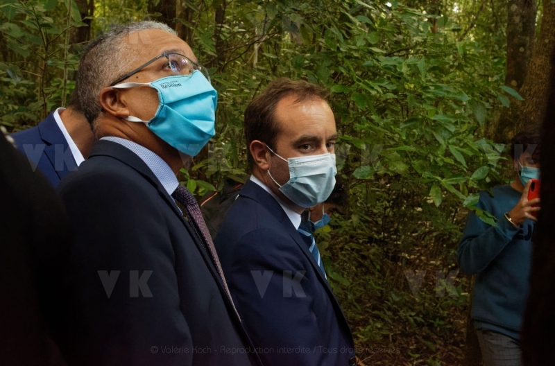 La biodiversite de La Reunion au programme de Sebastien Lecornu et Berangere Abba. The biodiversity of La Reunion on the program of Sebastien Lecornu and Berangere Abba