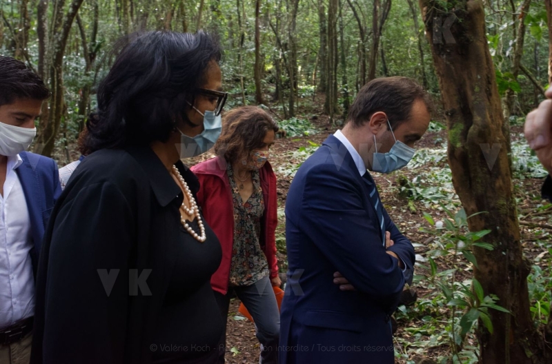 La biodiversite de La Reunion au programme de Sebastien Lecornu et Berangere Abba. The biodiversity of La Reunion on the program of Sebastien Lecornu and Berangere Abba