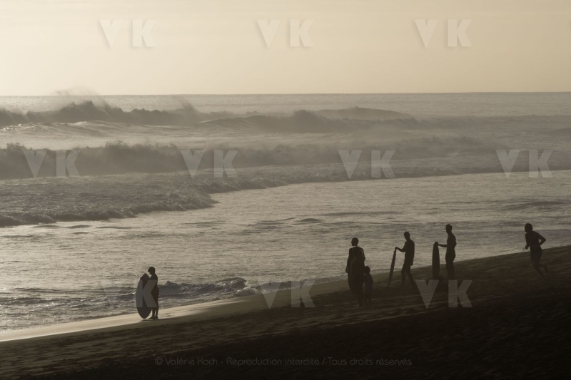 La biodiversite de La Reunion au programme de Sebastien Lecornu et Berangere Abba. The biodiversity of La Reunion on the program of Sebastien Lecornu and Berangere Abba
