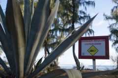 La biodiversite de La Reunion au programme de Sebastien Lecornu et Berangere Abba. The biodiversity of La Reunion on the program of Sebastien Lecornu and Berangere Abba