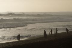 La biodiversite de La Reunion au programme de Sebastien Lecornu et Berangere Abba. The biodiversity of La Reunion on the program of Sebastien Lecornu and Berangere Abba