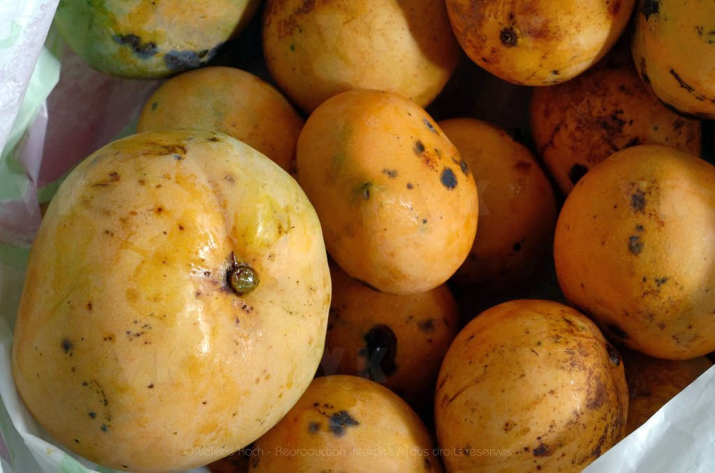 Mangues José déclassées © Valérie Koch - Reproduction interdite / Tous droits réservés