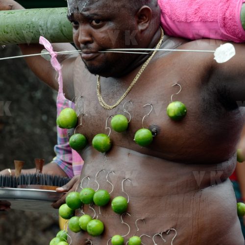 Celebration du Tai Poussam Cavadee a Saint-Louis, La Reunion © Valérie Koch - Reproduction interdite / Tous droits réservés