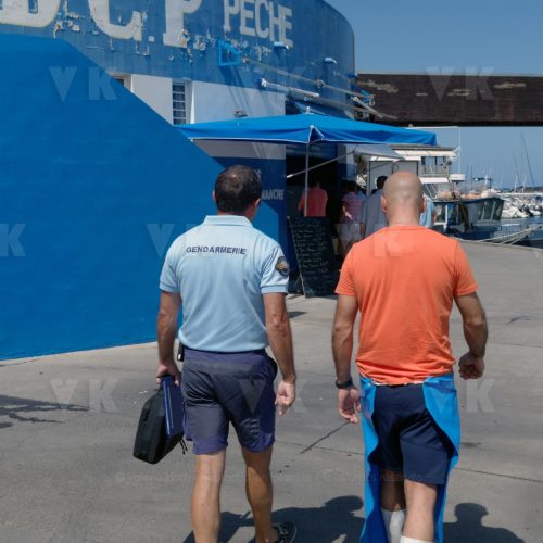 Controles sanitaires et administratifs par la Brigade Nautique Cotiere de gendarmerie © Valérie Koch - Reproduction interdite / Tous droits réservés