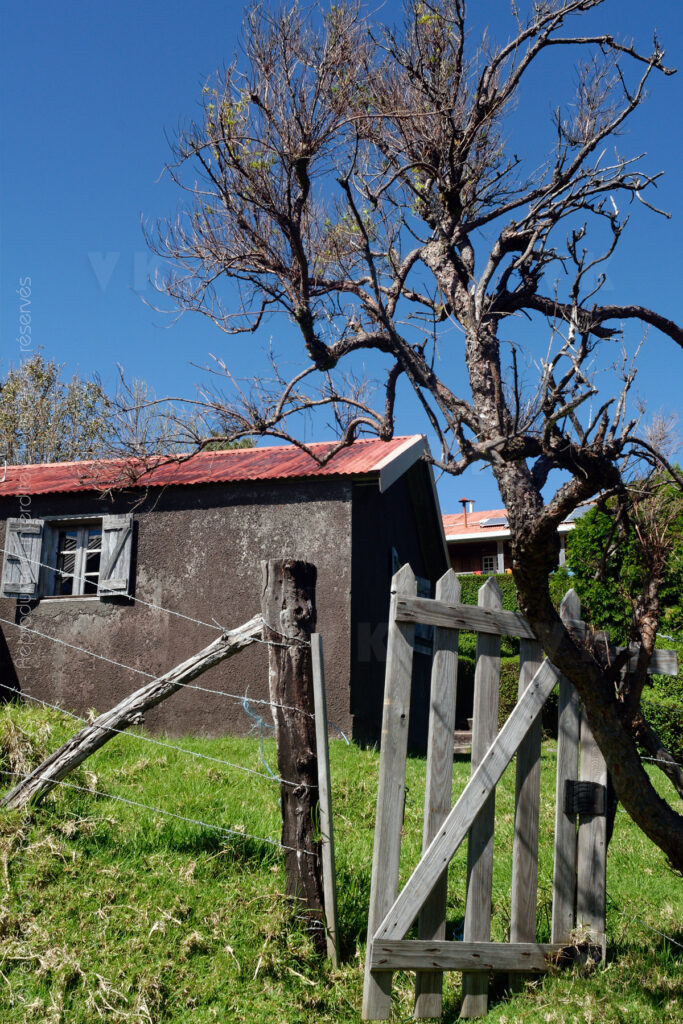 Gite du volcan a La Reunion © Valerie Koch - Reproduction interdite / Tous droits reserves