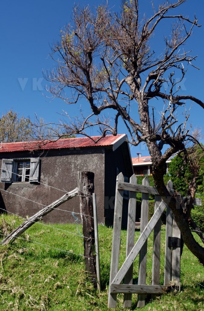 Gite du volcan a La Reunion © Valerie Koch - Reproduction interdite / Tous droits reserves