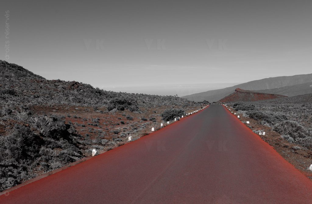 Route forestière du volcan © Valérie Koch - Reproduction interdite / Tous droits réservés