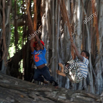 © Valérie Koch - Reproduction interdite / Tous droits réservés