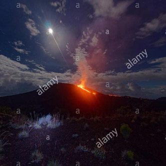 © Valérie Koch - Reproduction interdite / Tous droits réservés