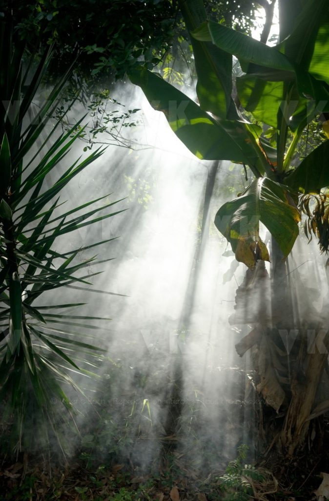 © Valérie Koch - Reproduction interdite / Tous droits réservés