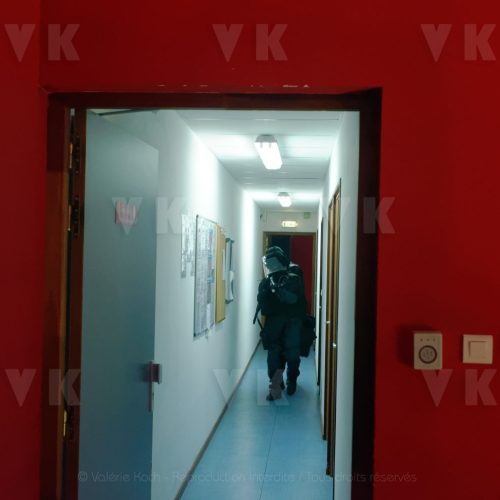 © Valérie Koch - Reproduction interdite / Tous droits réservés