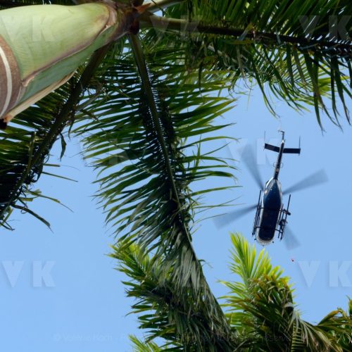 © Valérie Koch - Reproduction interdite / Tous droits réservés